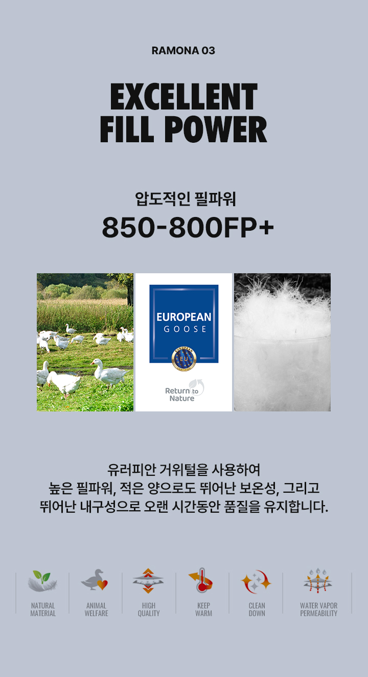[미샤앤퍼프] AURA LISSE FIELDS 라모나 티 K3005S26-0B2
